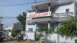Article 1